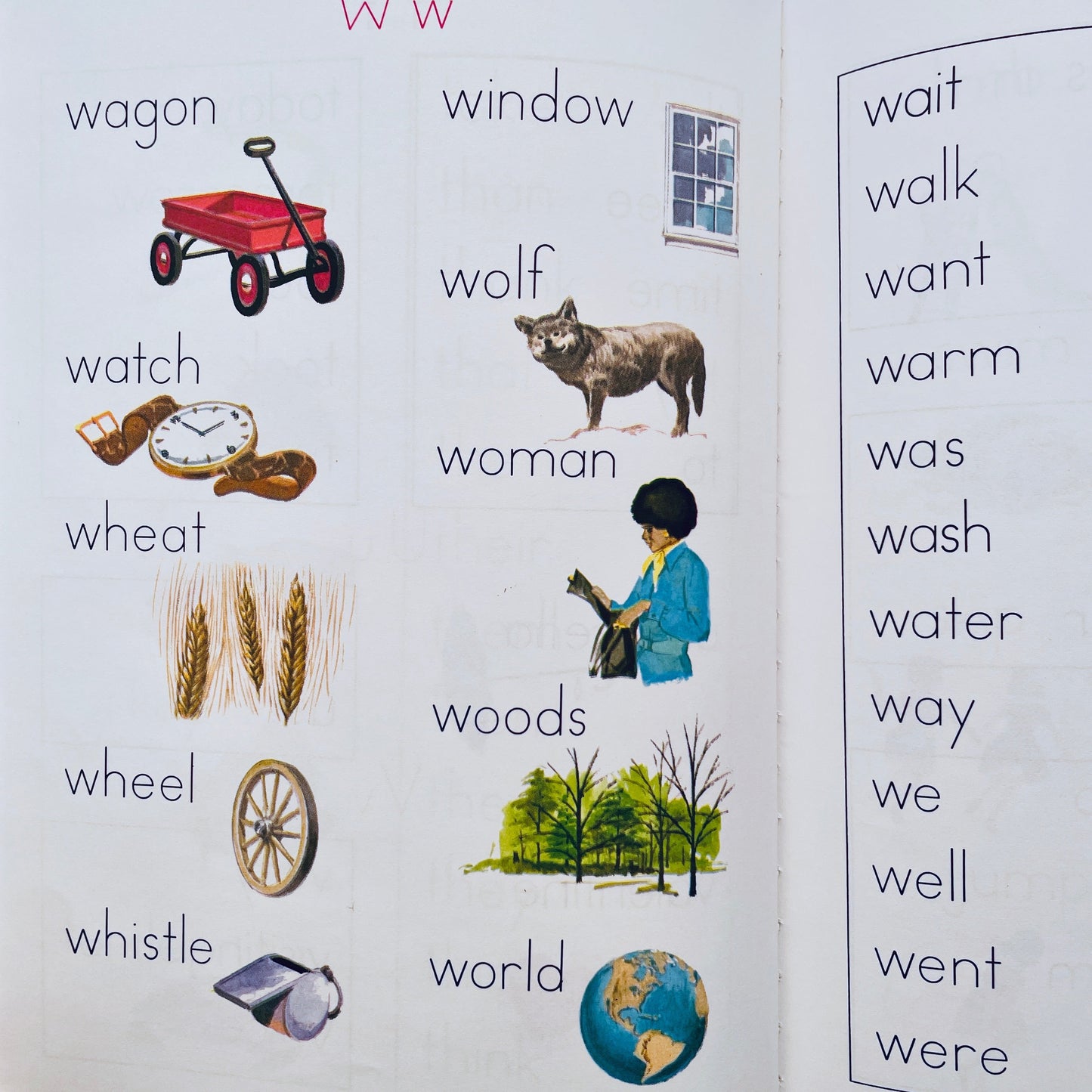 My Picture Dictionary