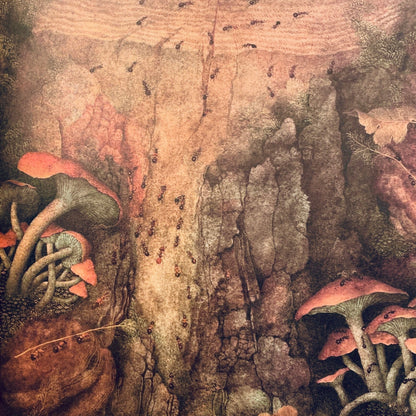 Once There Was a Tree