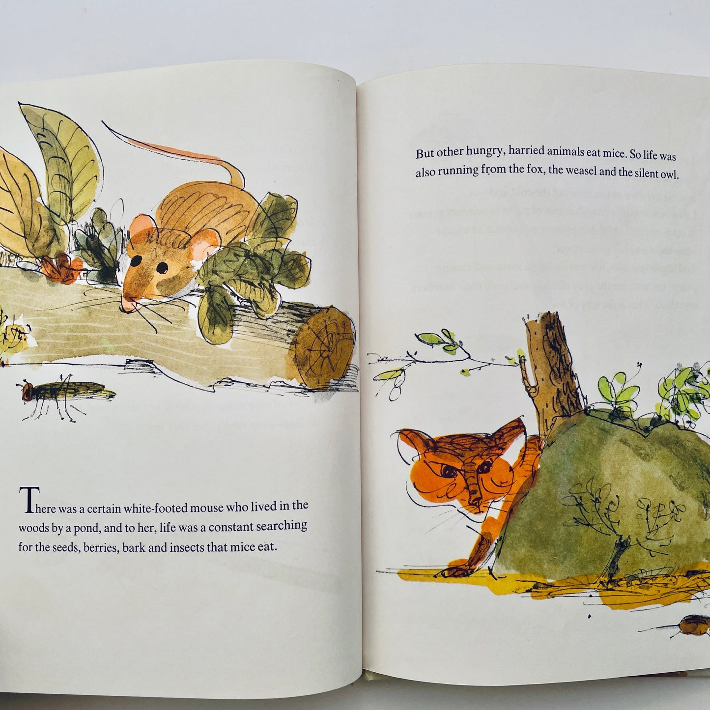 The Mouse and the Song