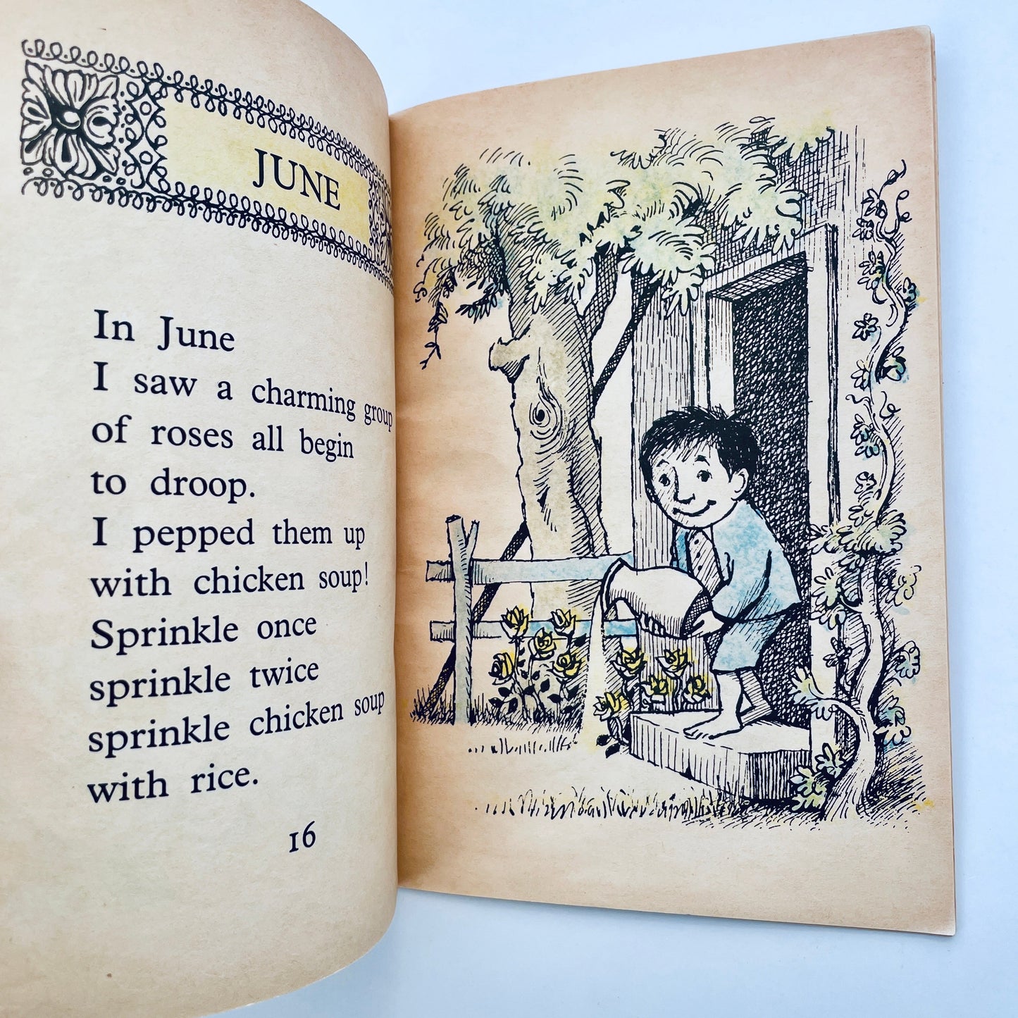 Chicken Soup with Rice: A Book of Months