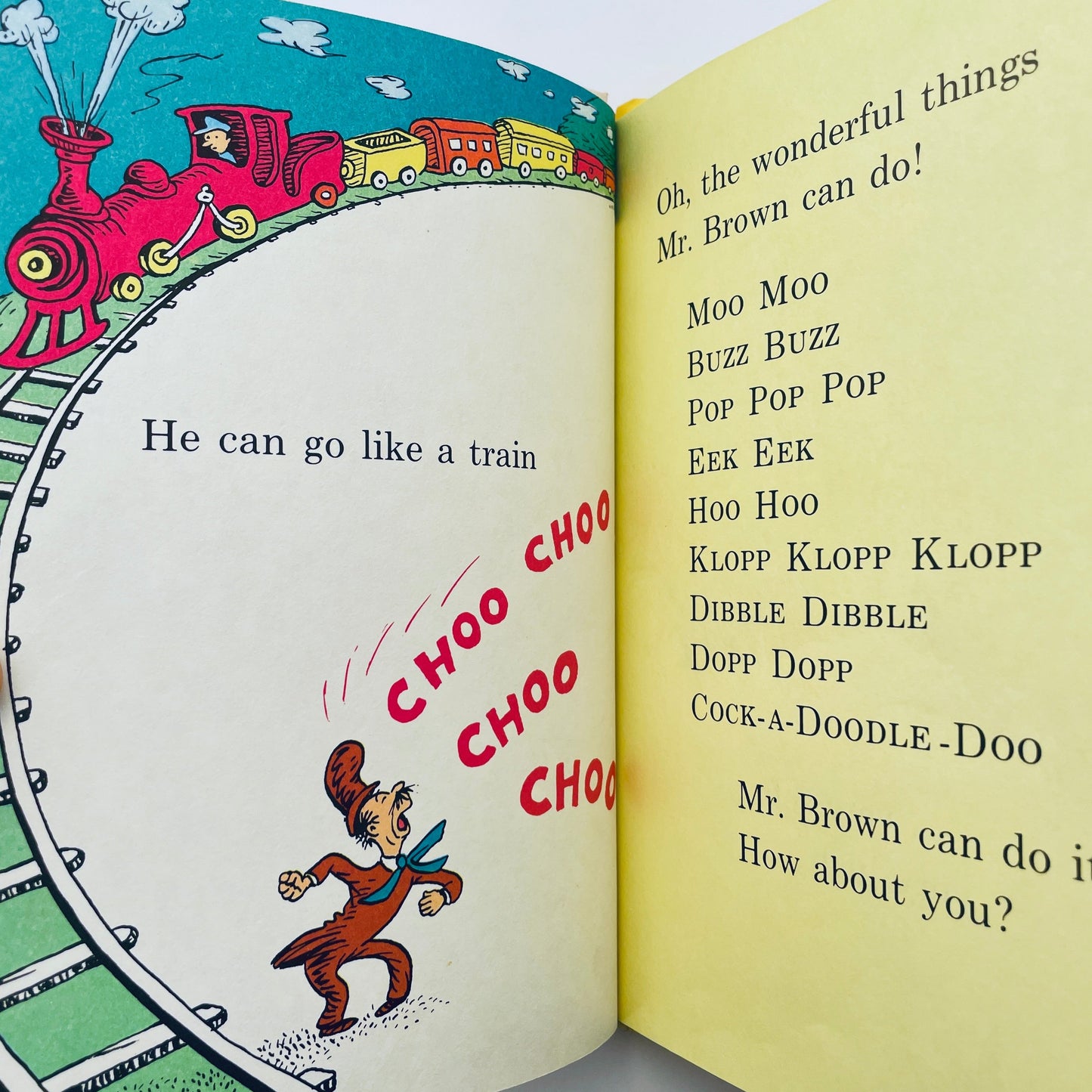 Mr Brown Can Moo! Can You?