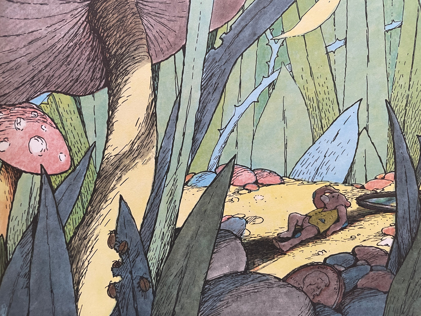 Bear Underground