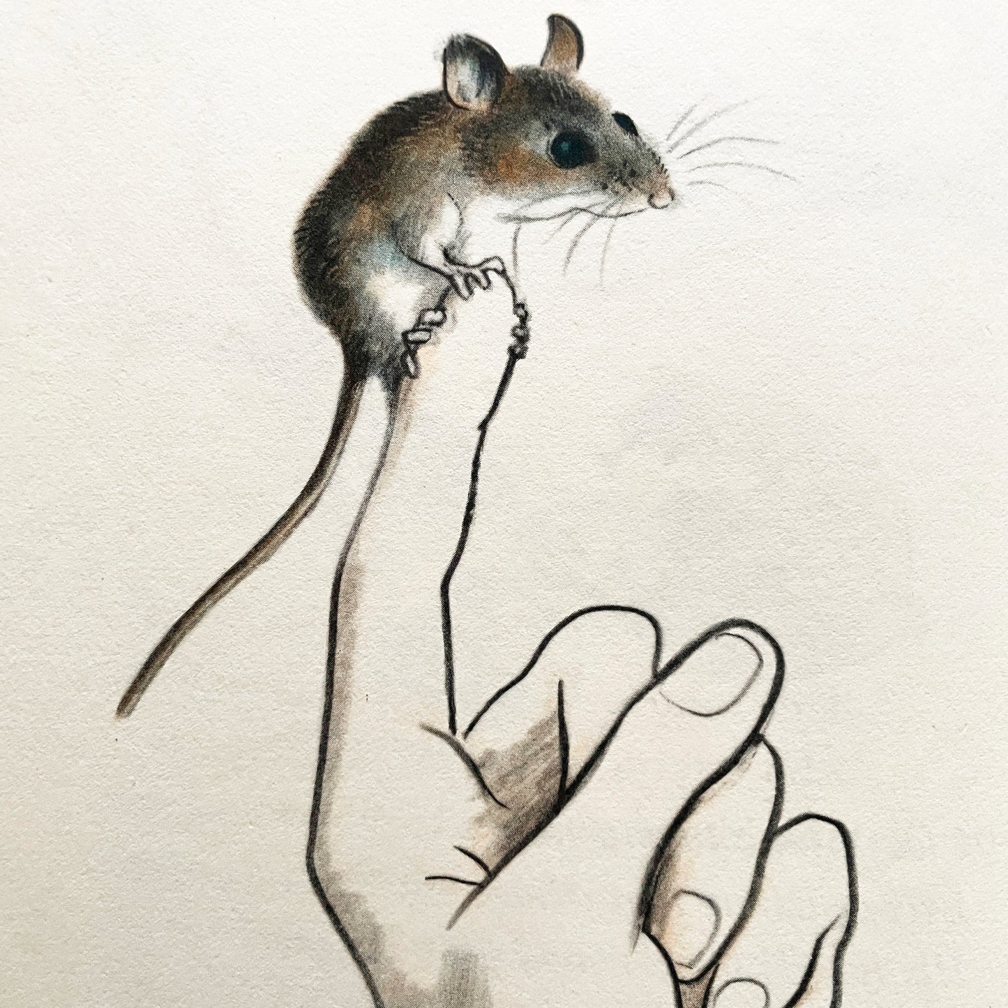 Mouse and Tim