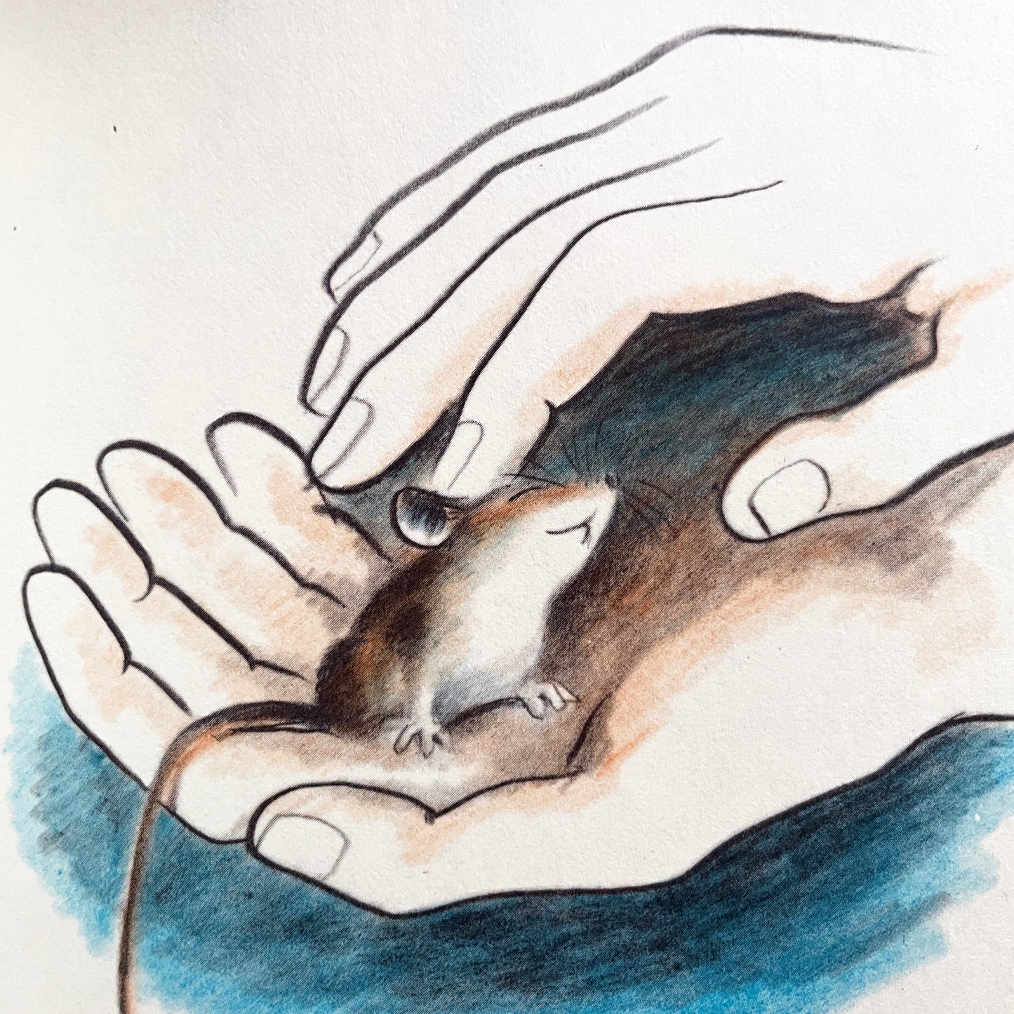 Mouse and Tim
