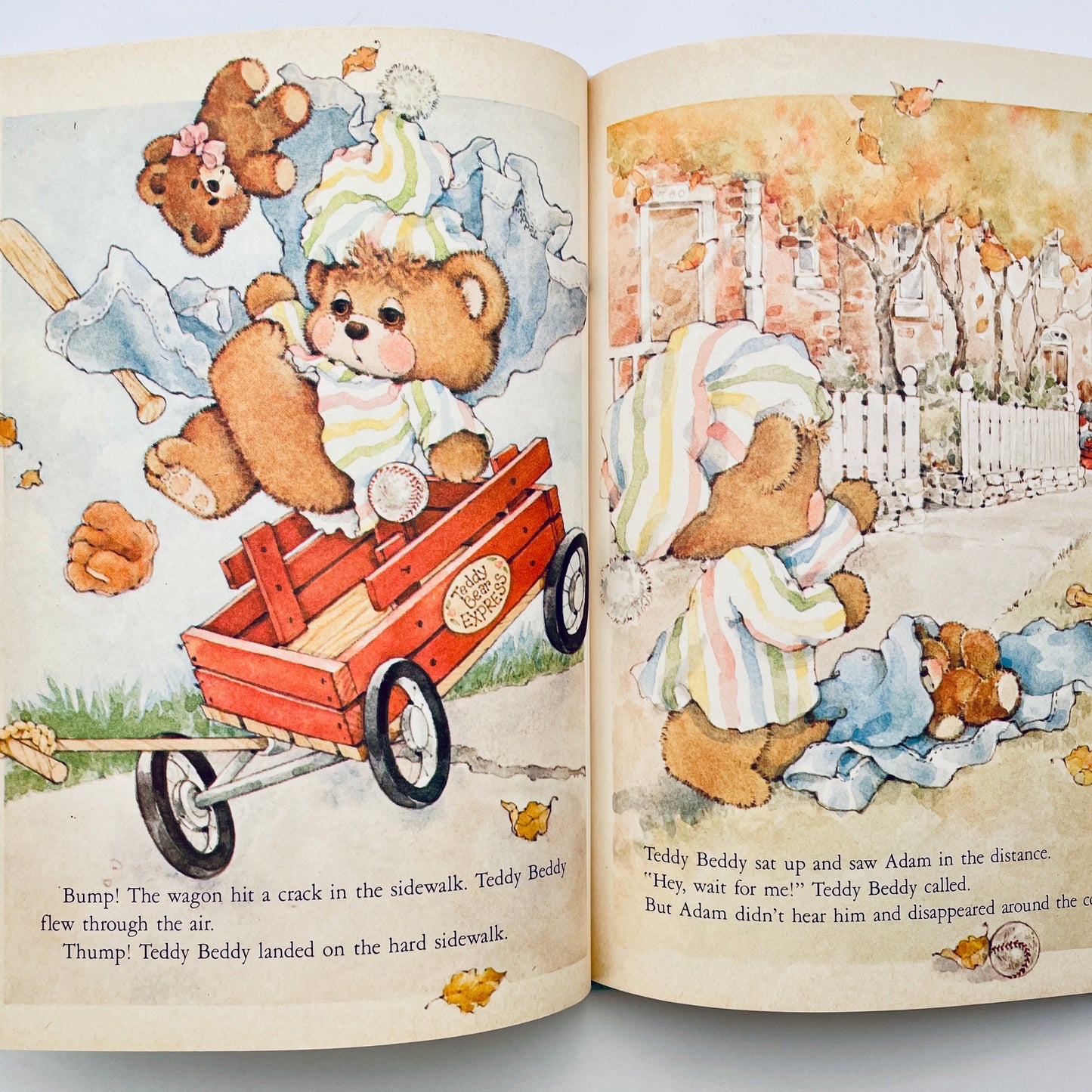 The Day Teddy Beddy Bear Got Lost