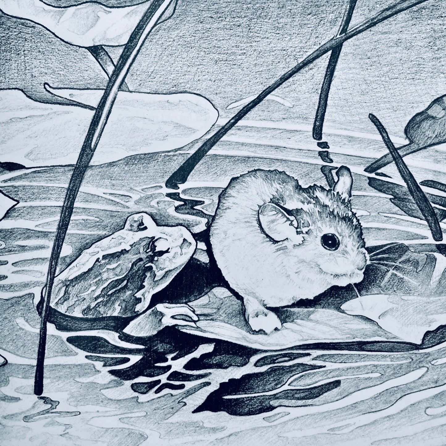 The Story of Jumping Mouse