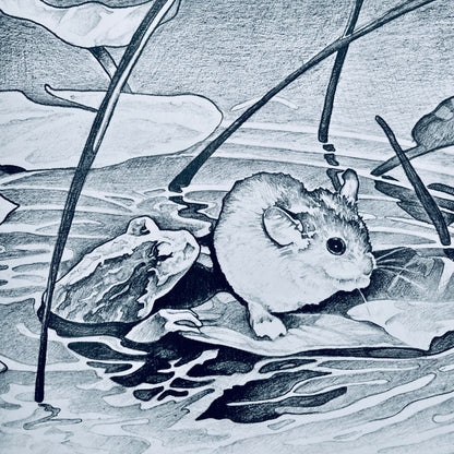 The Story of Jumping Mouse