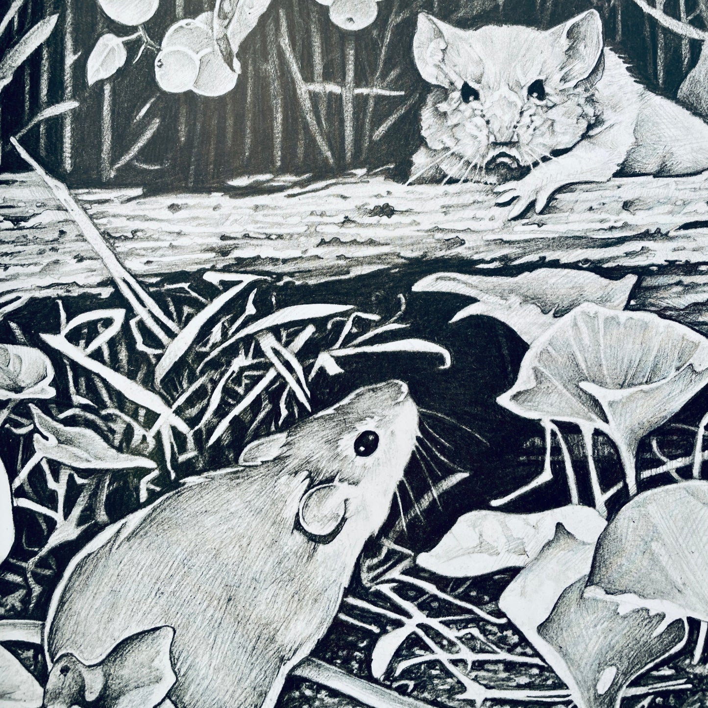 The Story of Jumping Mouse