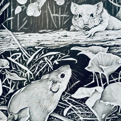 The Story of Jumping Mouse