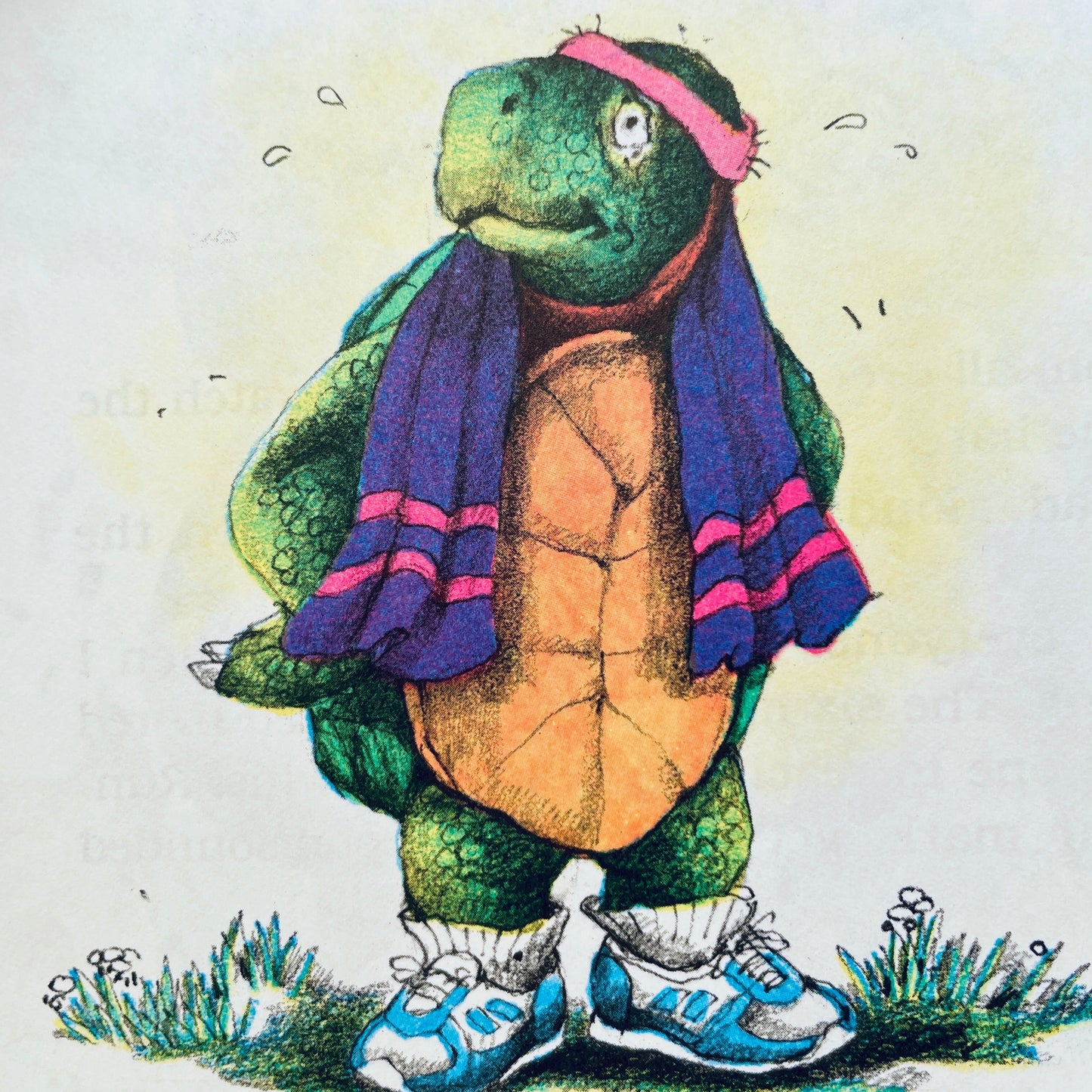 The Tortoise and the Hare: An Aesop Fable
