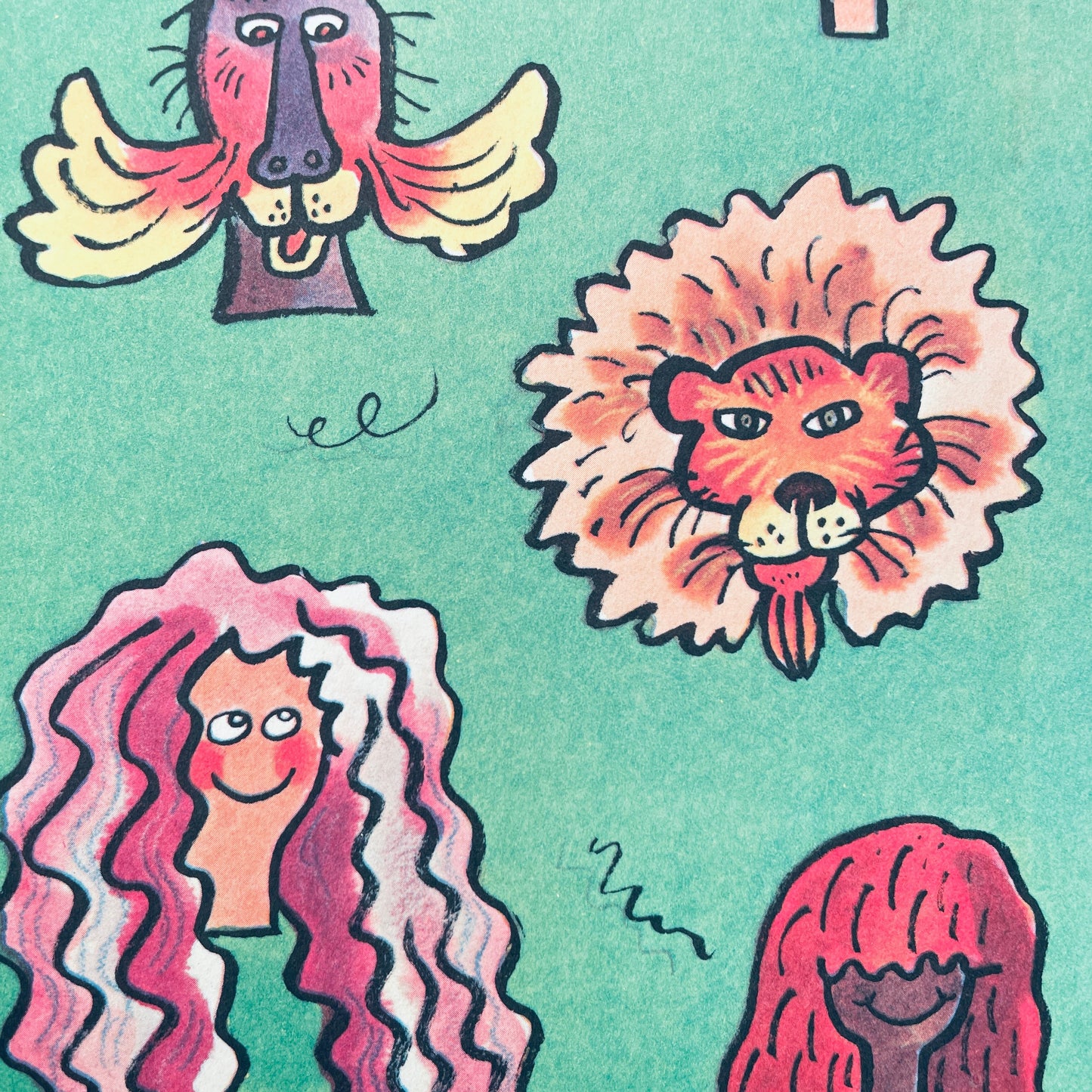 The Hair Book