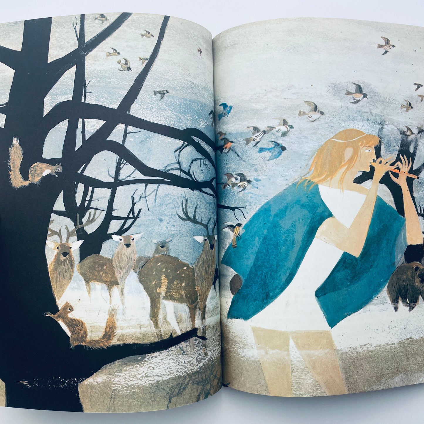 The Magic Flute (Curtain-Raiser book)