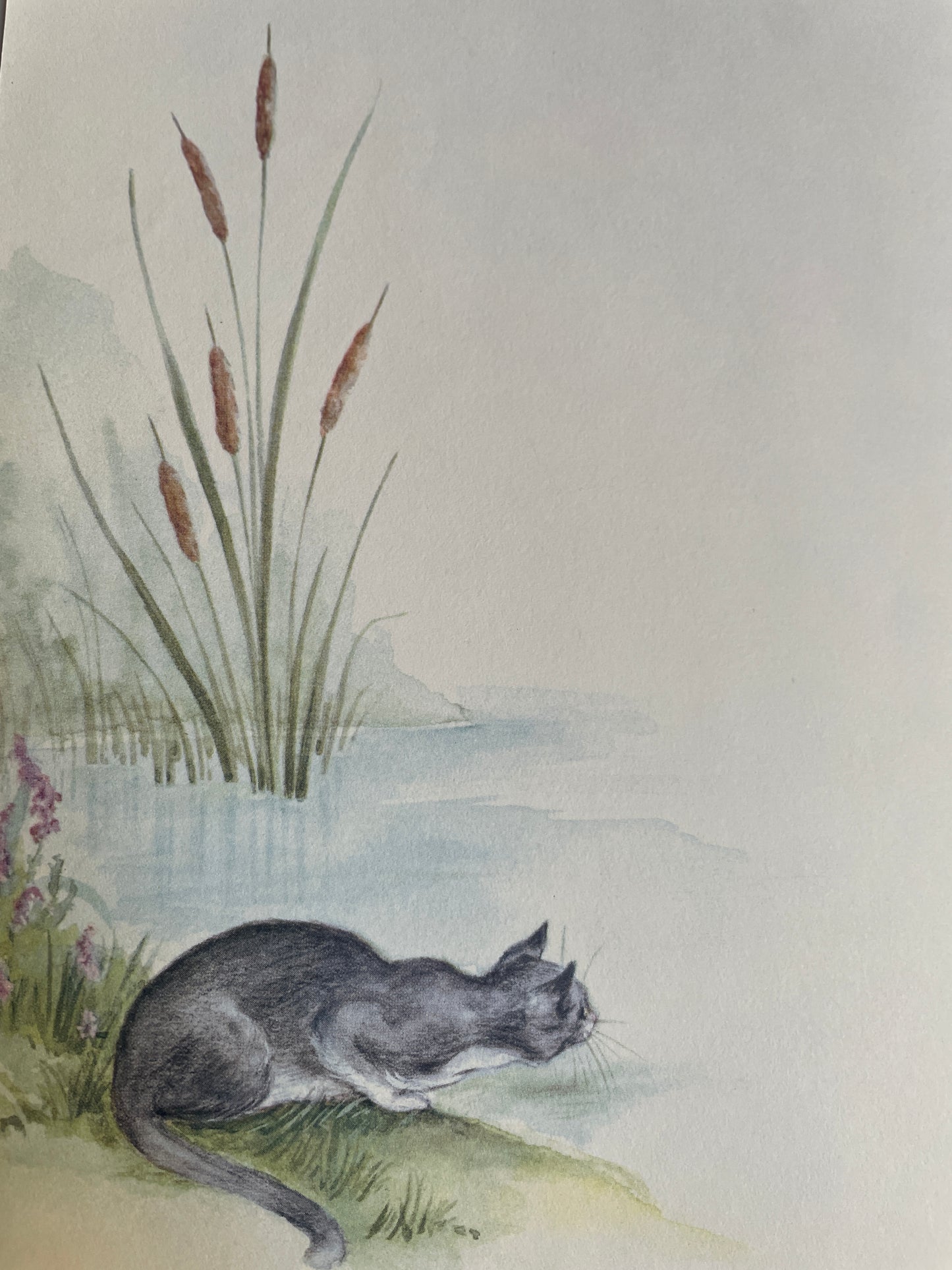 Mousekin Finds a Friend