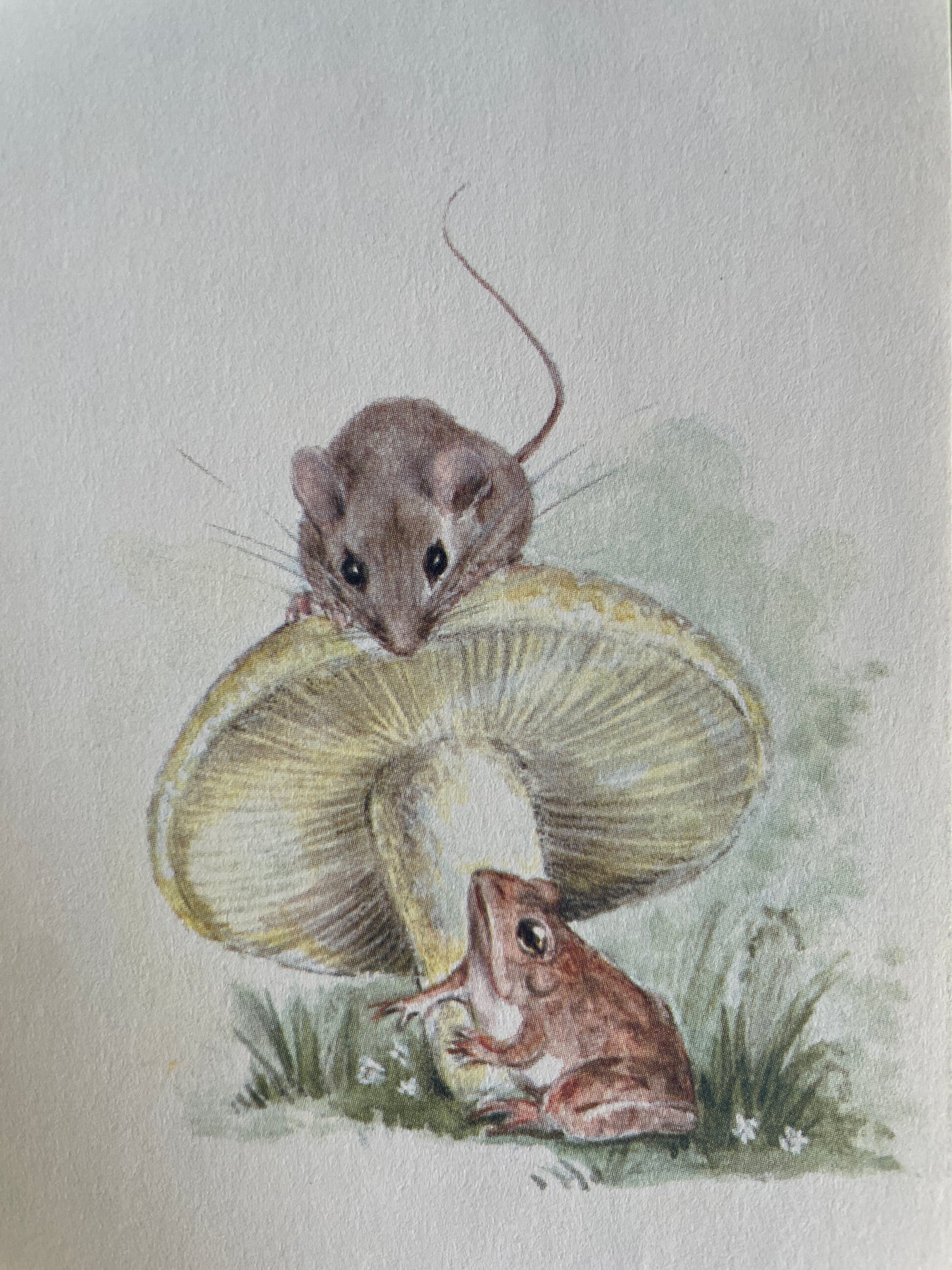 Mousekin Finds a Friend