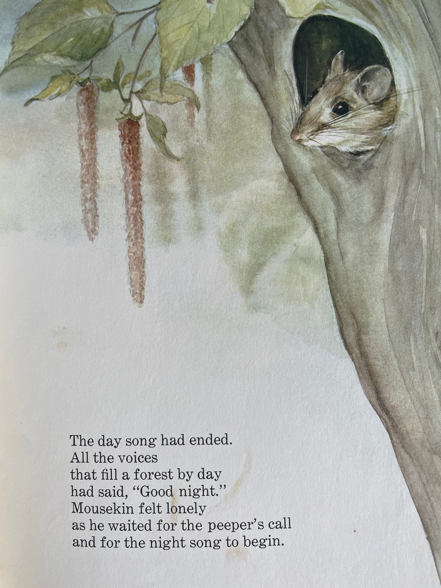 Mousekin Finds a Friend