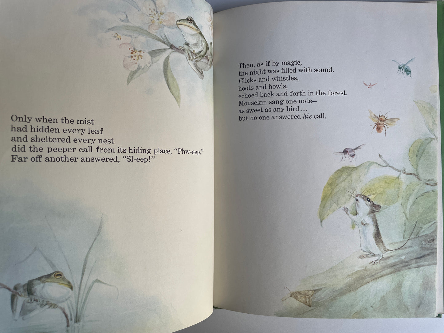 Mousekin Finds a Friend