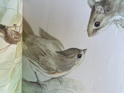 Mousekin Finds a Friend