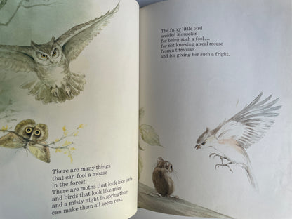 Mousekin Finds a Friend