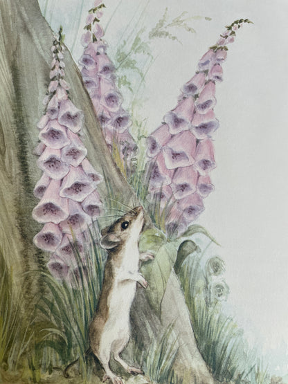 Mousekin Finds a Friend