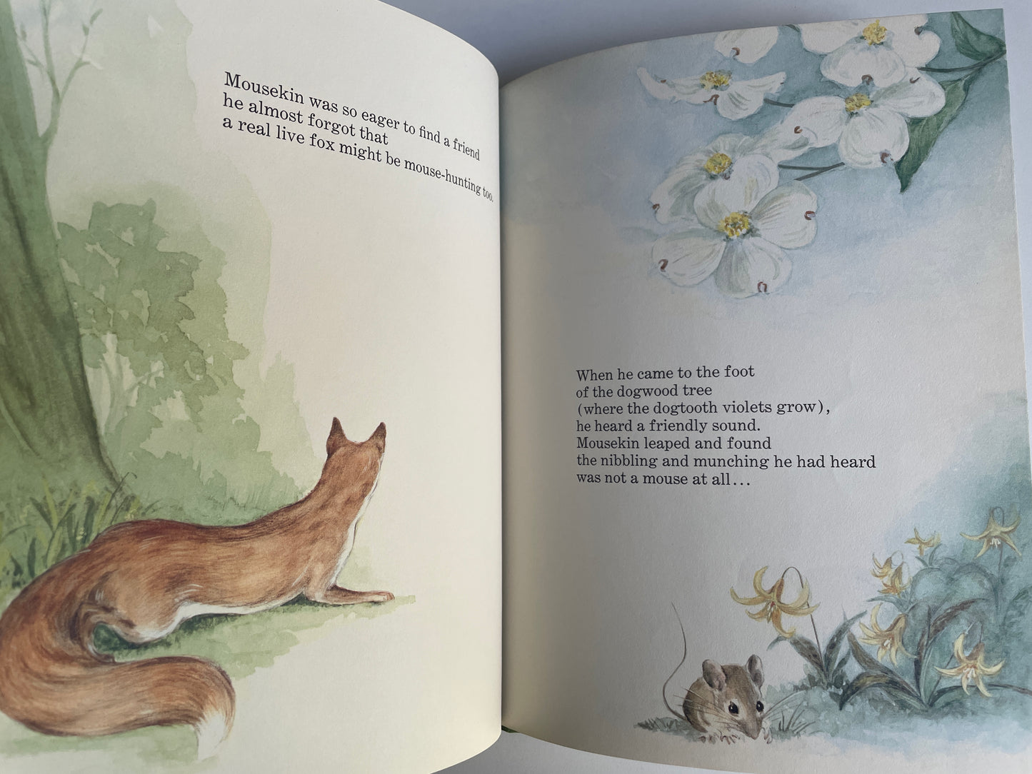 Mousekin Finds a Friend