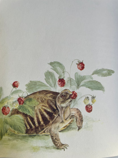 Mousekin Finds a Friend