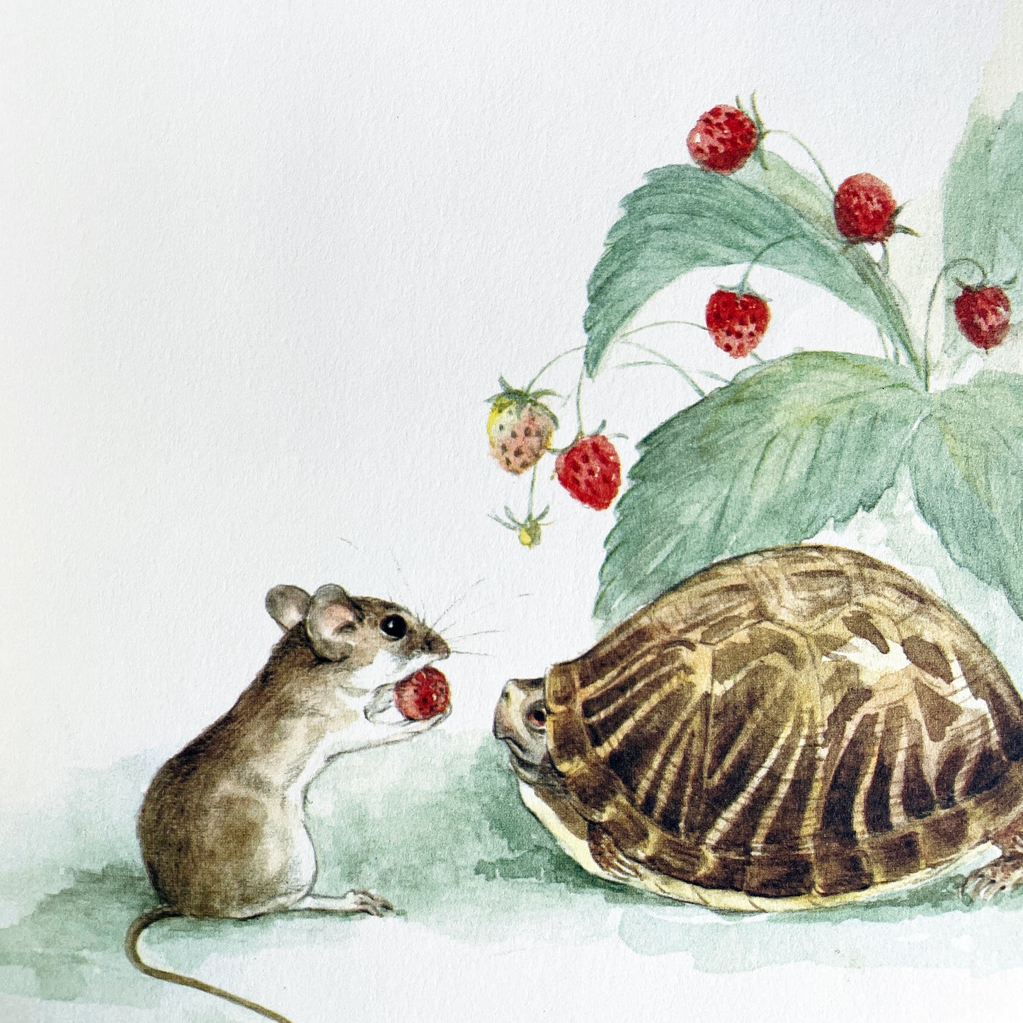 Mousekin Finds a Friend