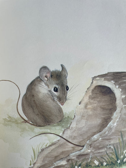 Mousekin Finds a Friend