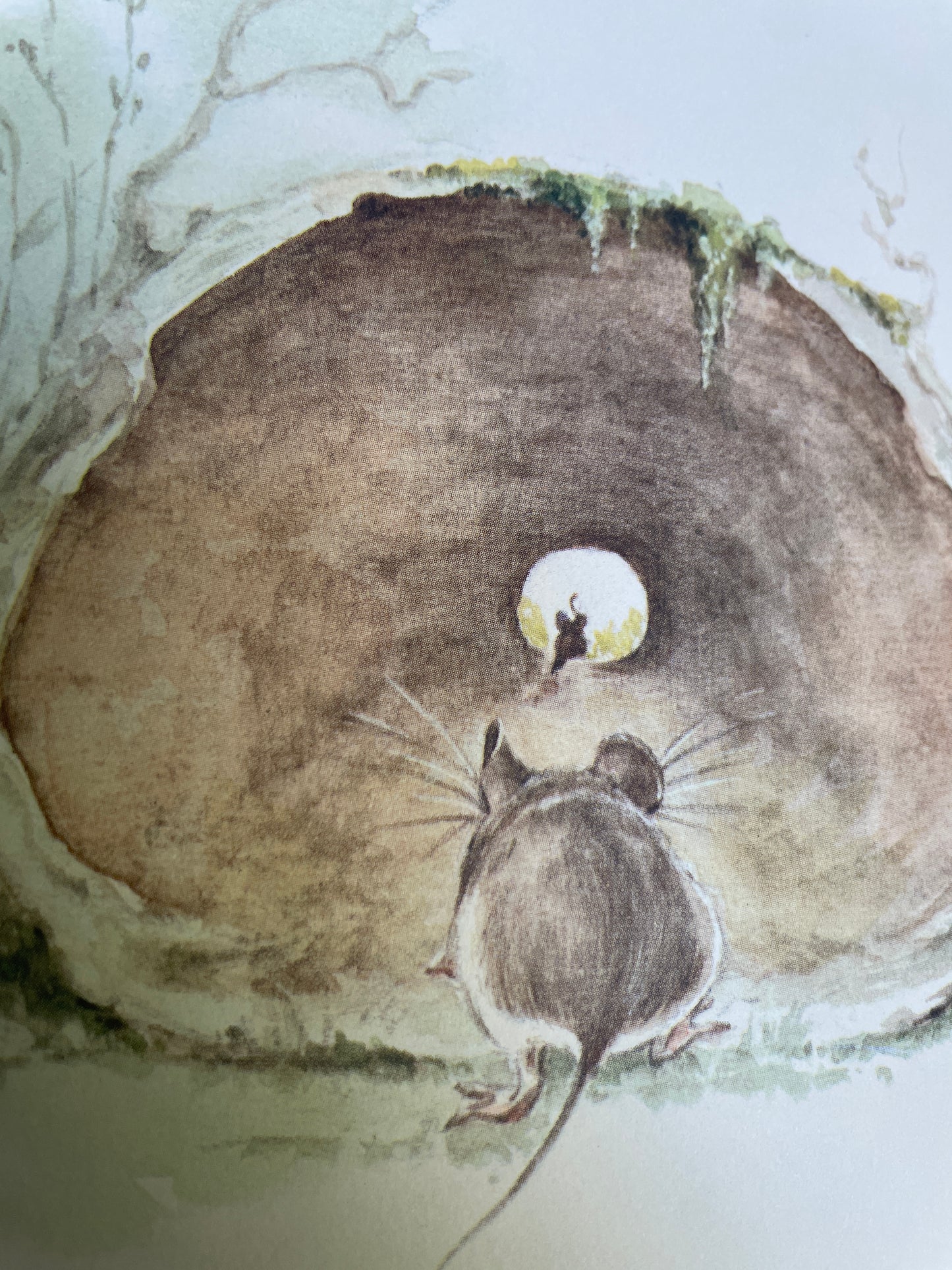 Mousekin Finds a Friend