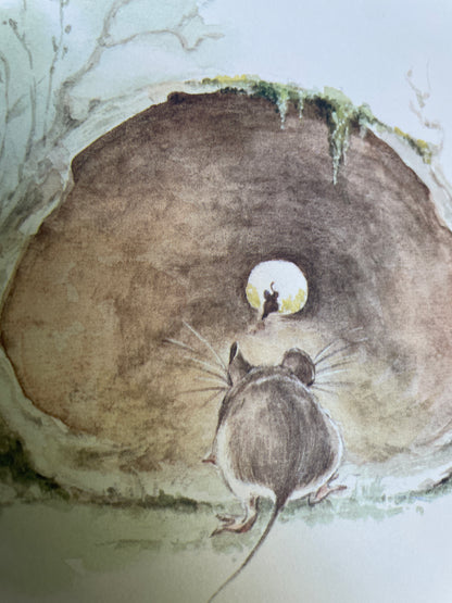 Mousekin Finds a Friend