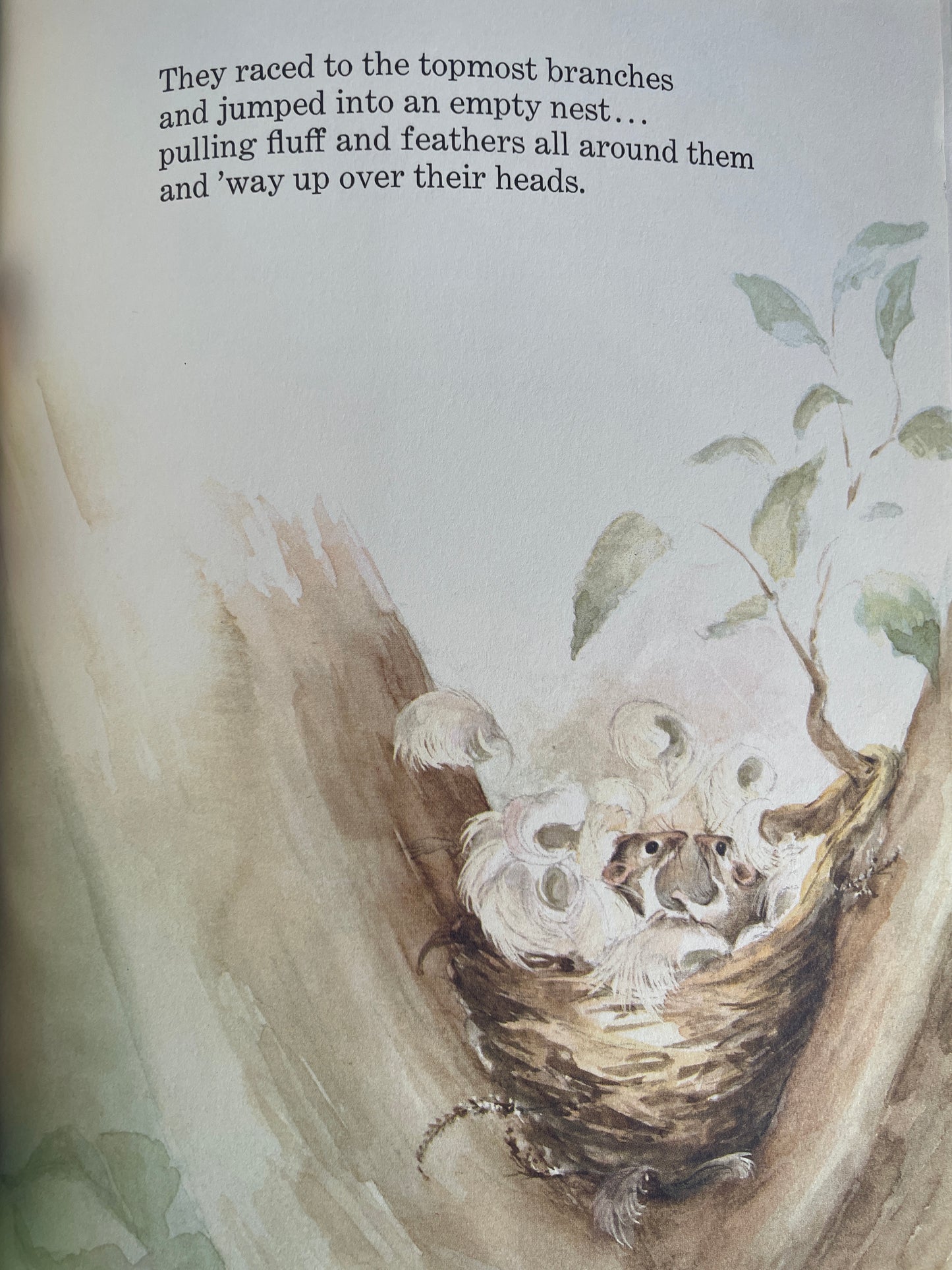 Mousekin Finds a Friend