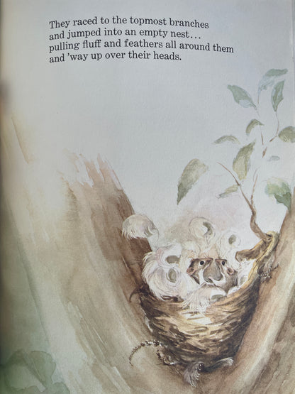 Mousekin Finds a Friend