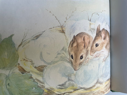 Mousekin Finds a Friend