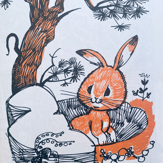 The Three Coats of Benny Bunny