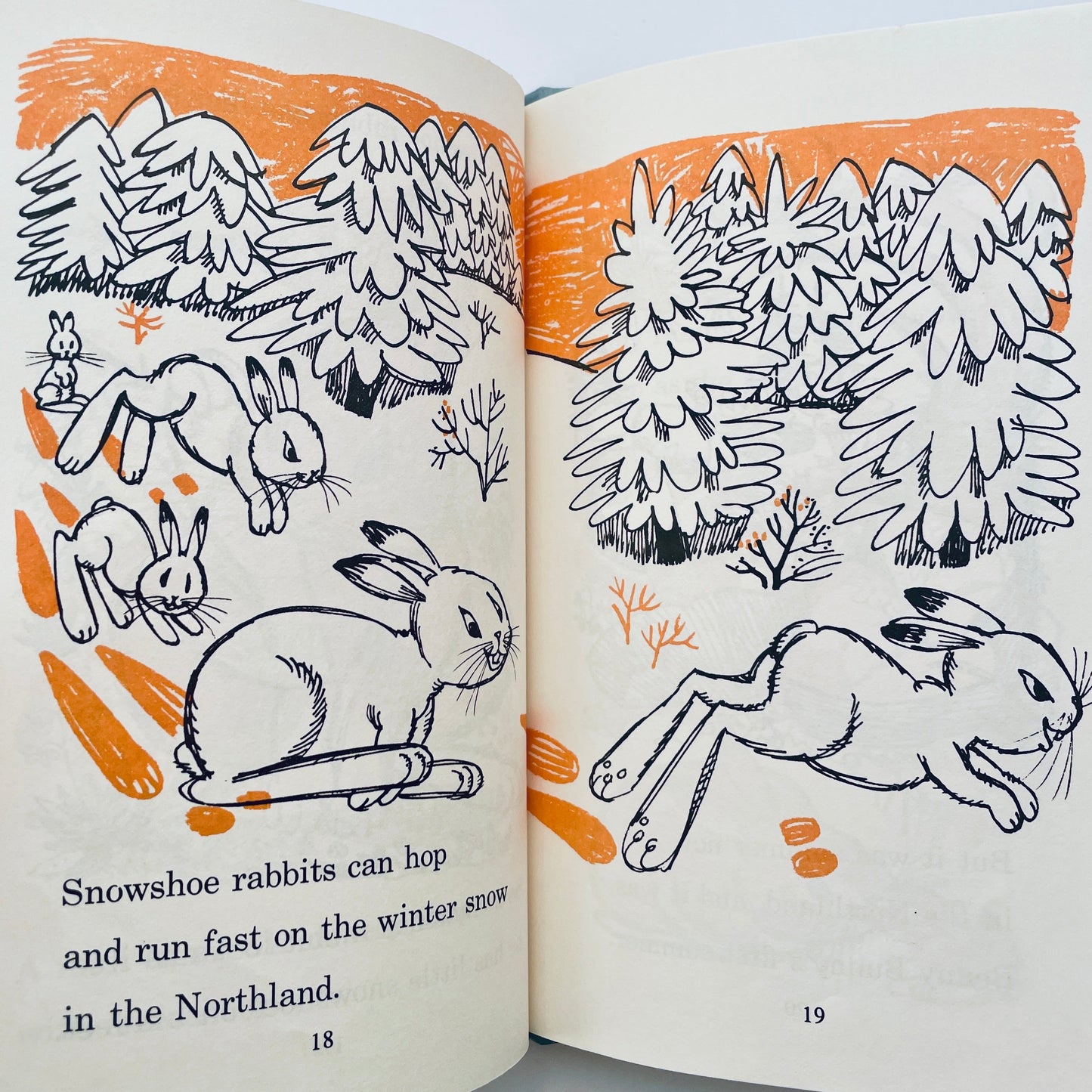 The Three Coats of Benny Bunny