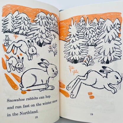 The Three Coats of Benny Bunny