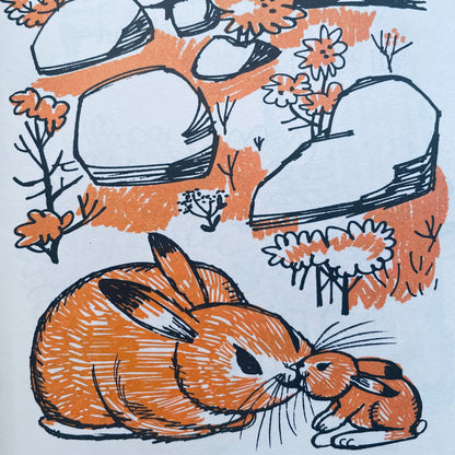 The Three Coats of Benny Bunny