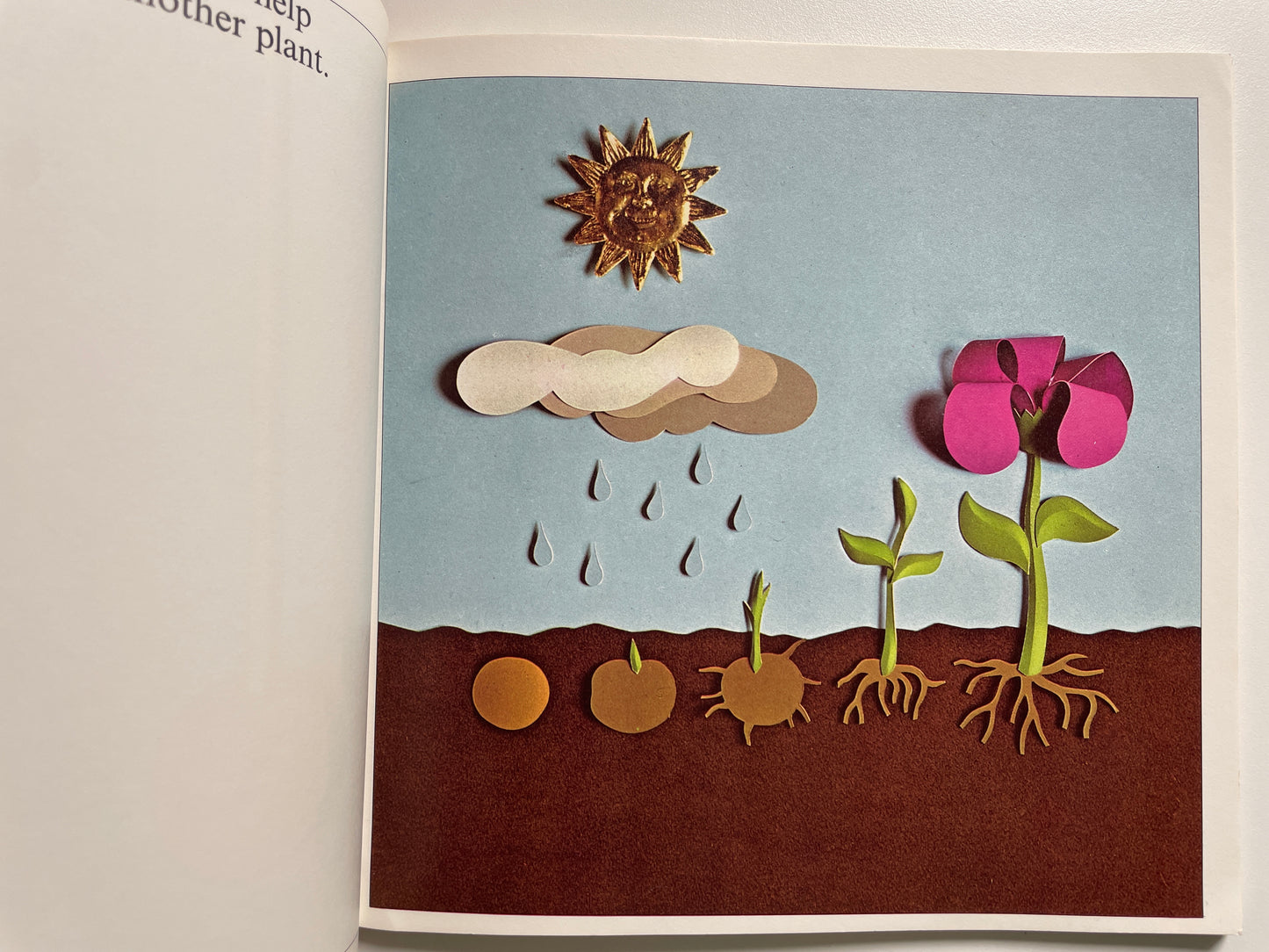 How Babies Are Made