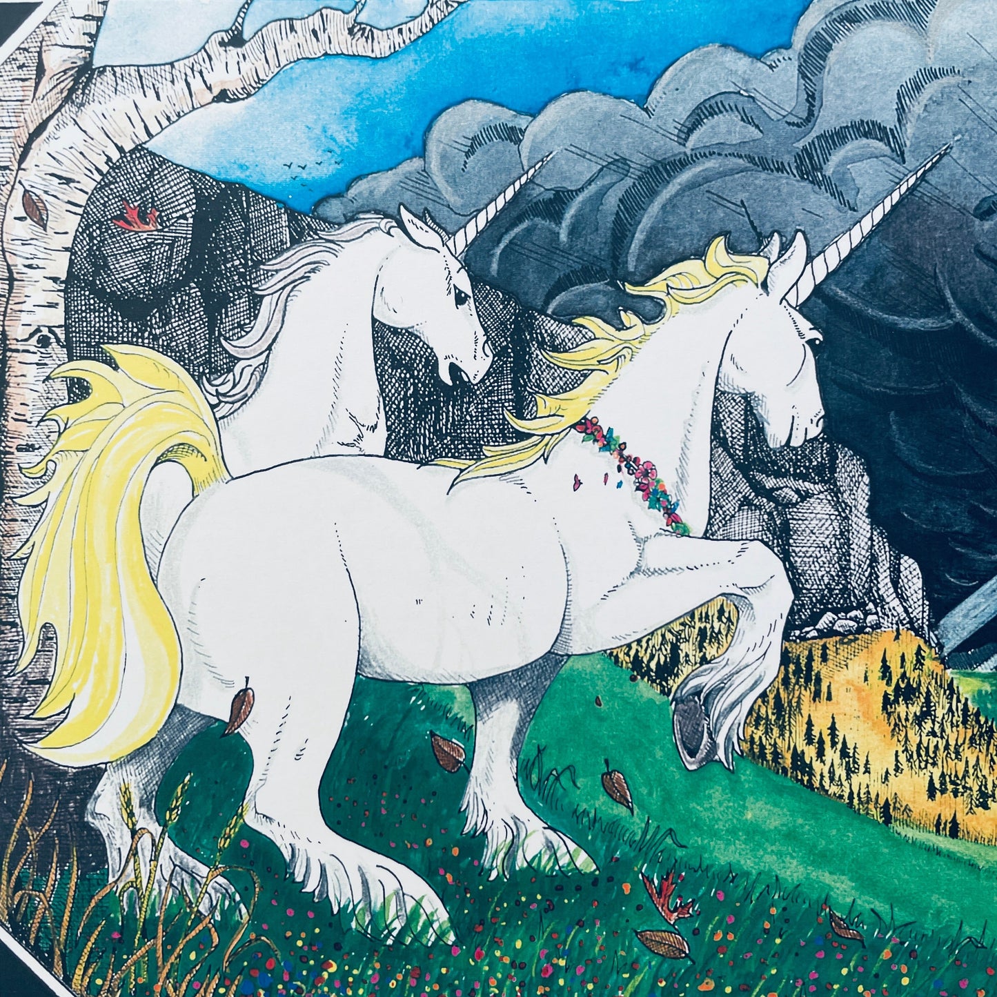 The Unicorn and the Narwhal