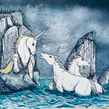 The Unicorn and the Narwhal