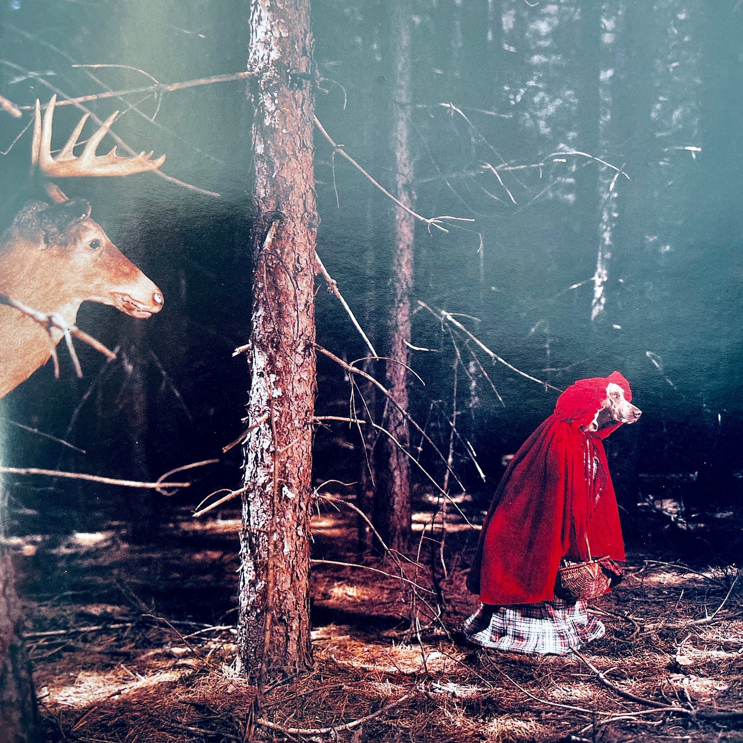 Little Red Riding Hood (Fay's Fairy Tales)