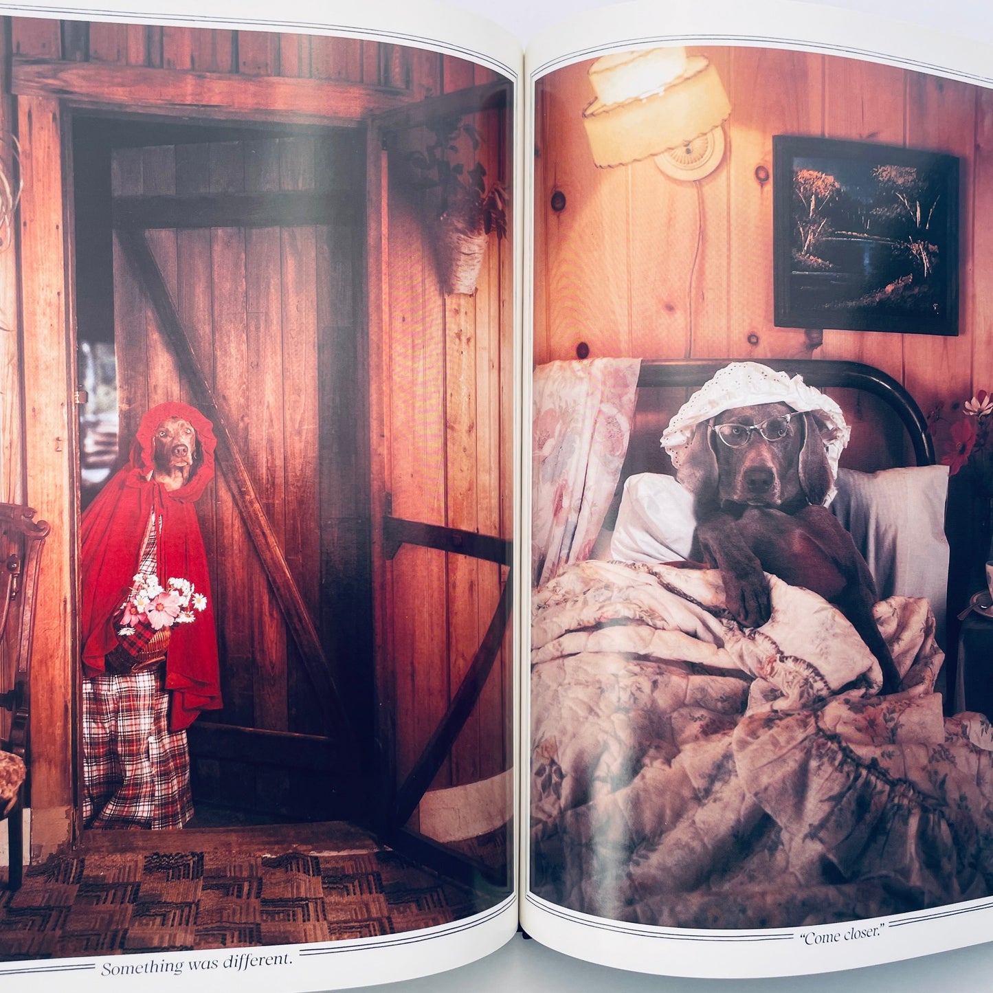 Little Red Riding Hood (Fay's Fairy Tales)