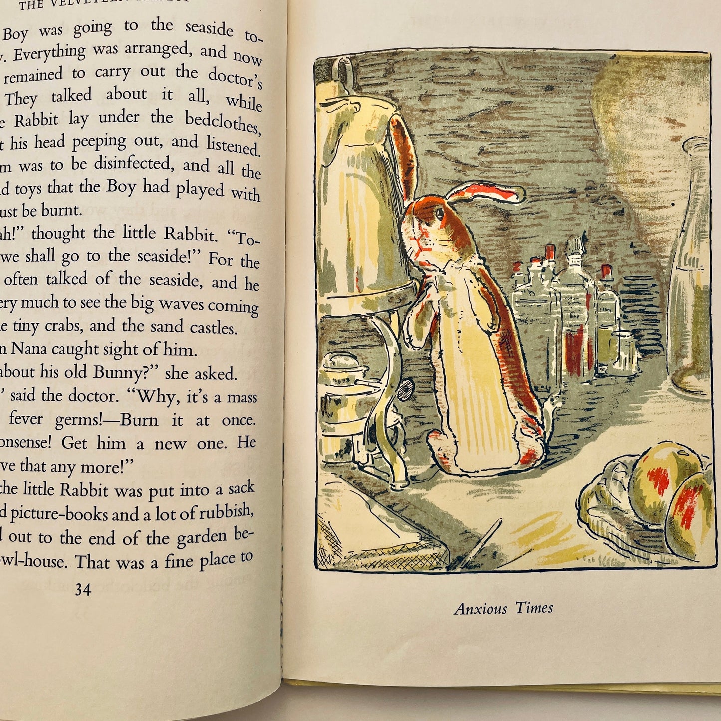 The Velveteen Rabbit