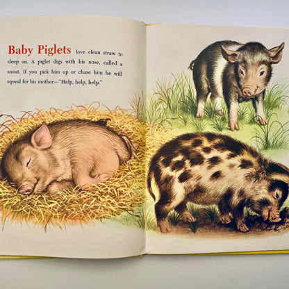 Baby Farm Animals