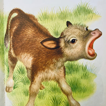 Baby Farm Animals
