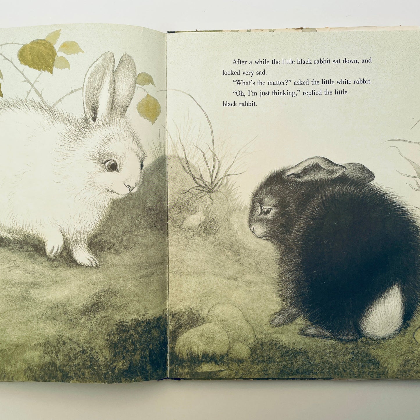 The Rabbits' Wedding