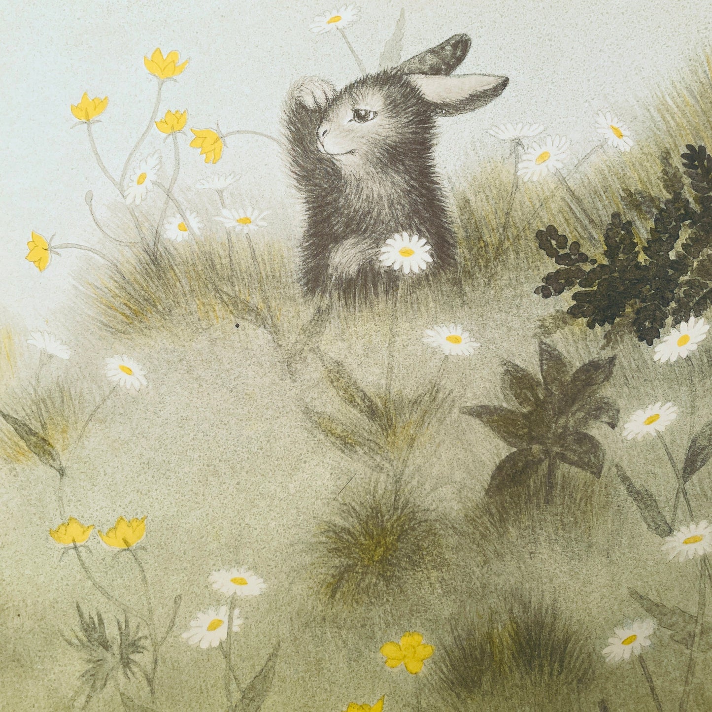 The Rabbits' Wedding