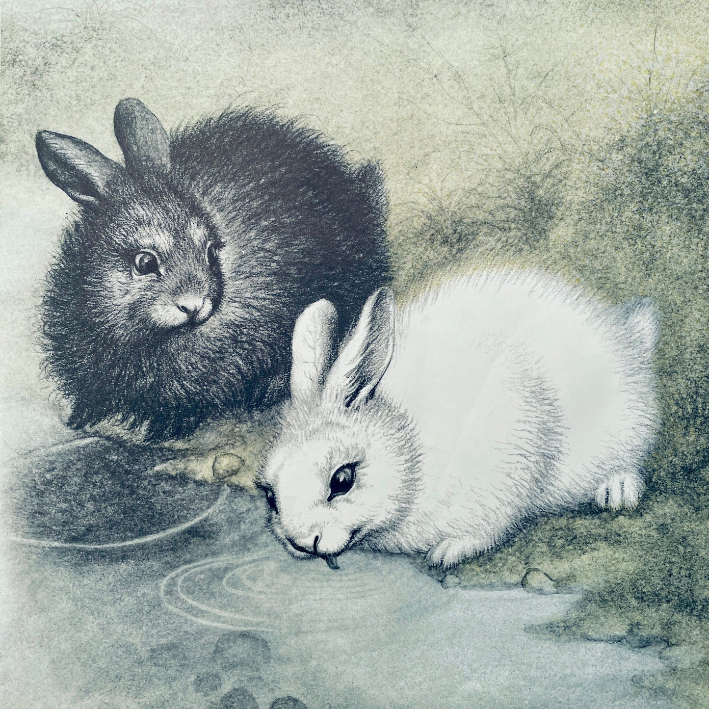 The Rabbits' Wedding