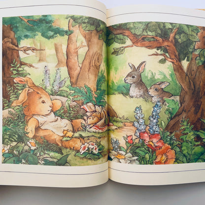 The Velveteen Rabbit