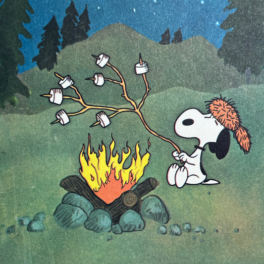 It Was a Short Summer, Charlie Brown