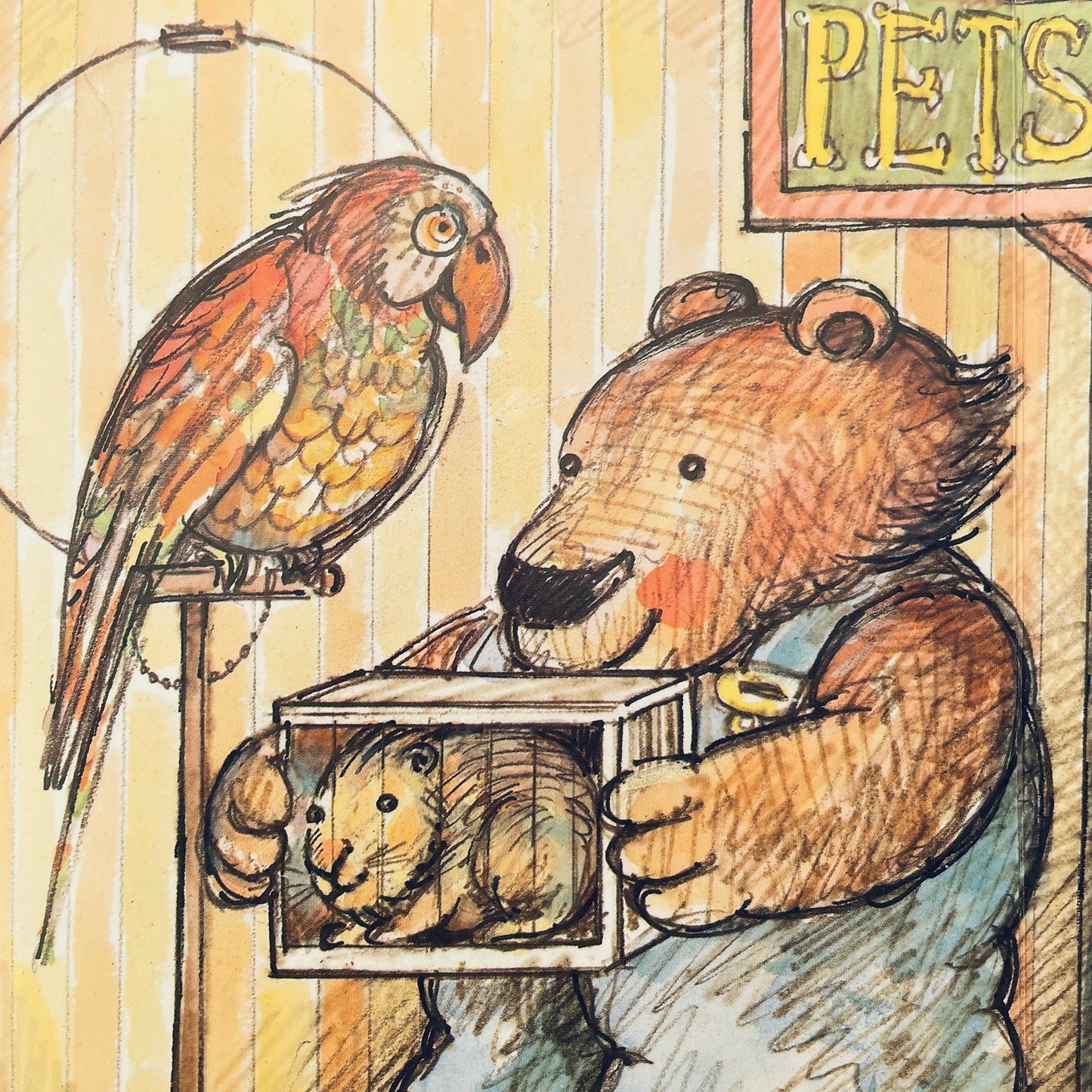Bear Goes Shopping: A Guessing-Game Story